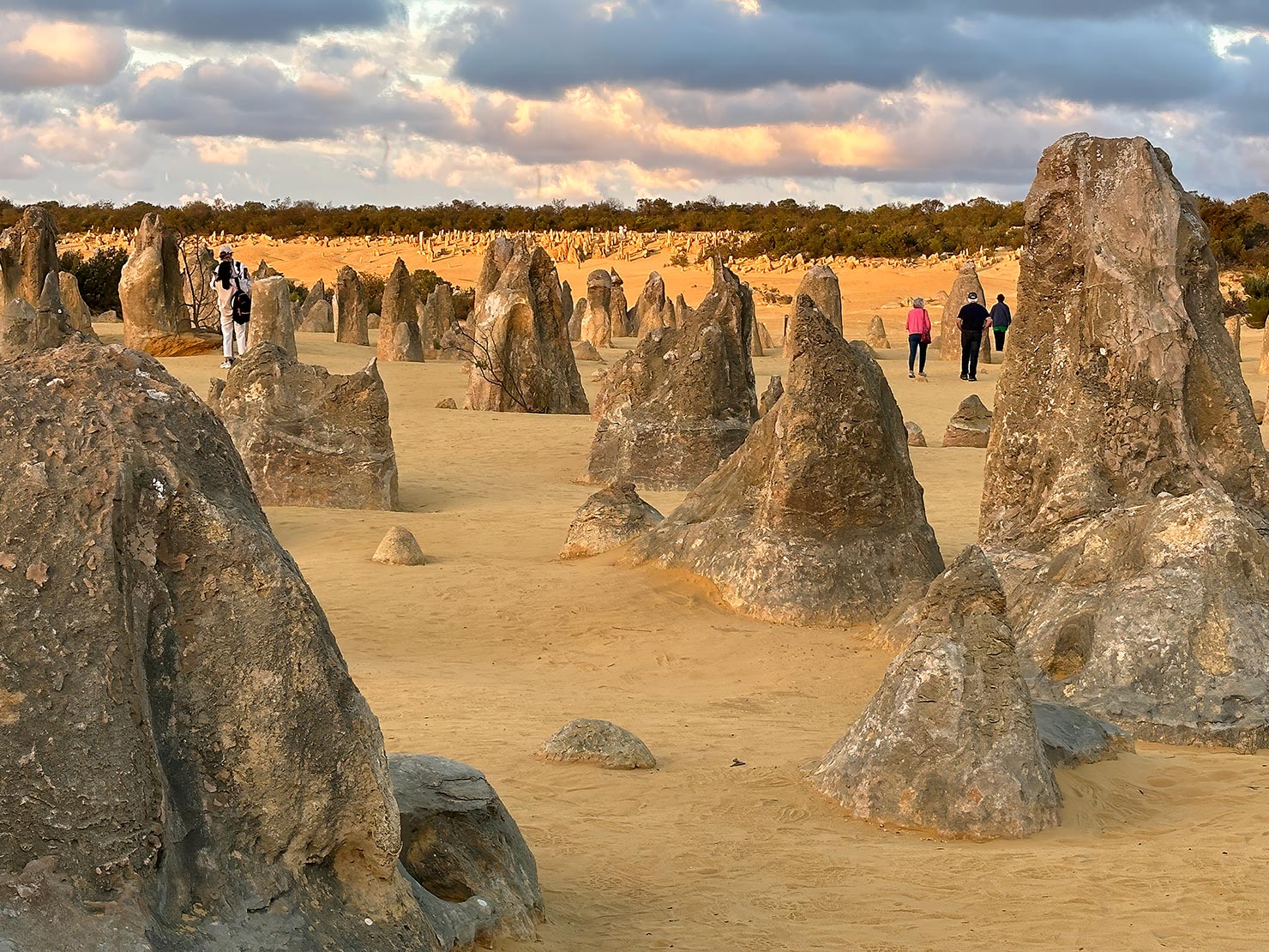 The Pinnacles in Western Australia