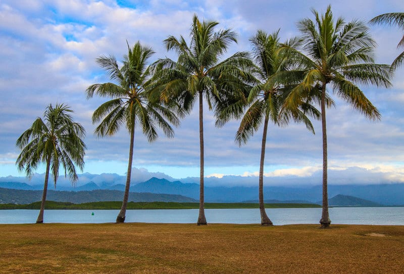 11 Best Things To Do In Port Douglas With Kids