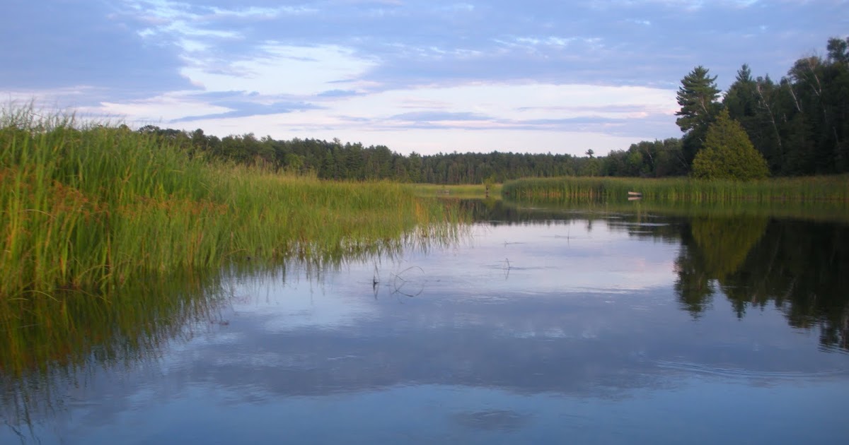 Best Au Sable River Camping Spots