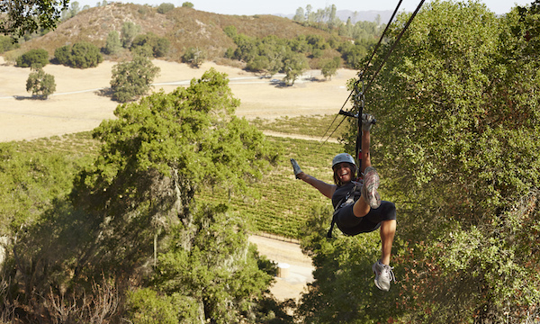 Vineyard and Zipline Trends Collide at the Pinot Express